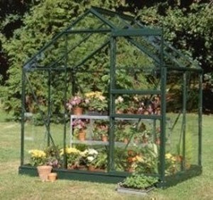 GREEN POPULAR 4ft x 6ft GREENHOUSE TOUGHENED